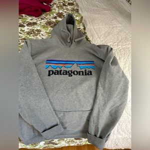 Patagonia Grey Hoodie